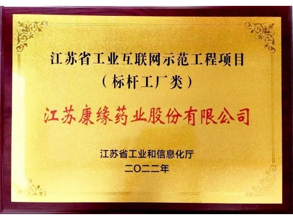 江蘇省工業(yè)互聯(lián)網(wǎng)示范工程項(xiàng)目標(biāo)桿企業(yè)